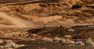 英超：曼城主场3-1击败布莱顿